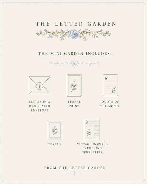 JUNE - Mini Garden - PRE ORDER