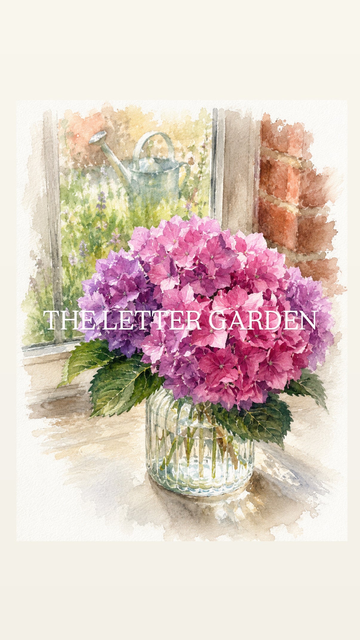 Hydrangea from the garden