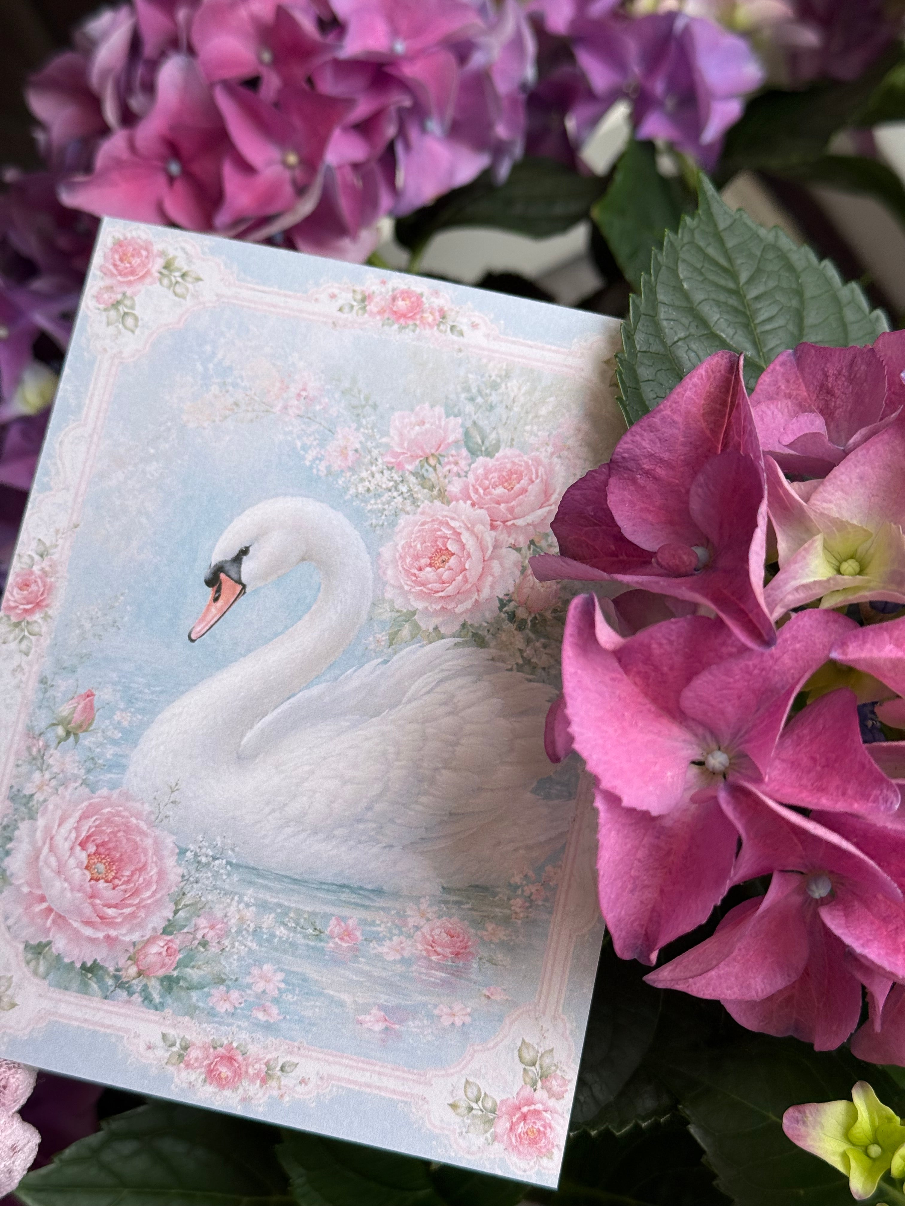June - Letter & Extras